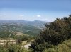 IMG_20190804_131358.jpg