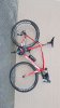 IMG-20190806-WA0010.jpeg