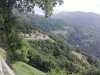 IMG_20190811_105641.jpg