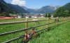 DSC_0552~11.JPG