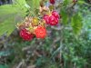 WP_20190815_13_23_14_Rich.jpg
