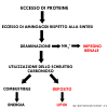 eccesso di proteine.png eccesso di proteine.png