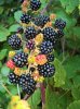 WP_20190825_13_48_12_Rich.jpg