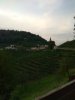 IMG_20190829_193556.jpg