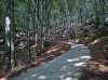 WP_20190901_11_49_11_Rich.jpg
