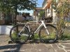 olmo.jpg