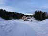 IMG_20190211_084319.jpg