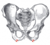 upload_2019-9-4_14-44-36.png upload_2019-9-4_14-44-36.png
