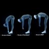 600x600-93640-fizik1-add2.jpg