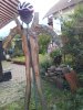 IMG_20190914_182401-1.jpg