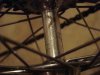 DSC00741.jpg