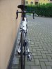 DSC00559.jpg