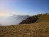WP_20191027_13_50_07_Pro.jpg