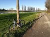IMG_20191210_145041.jpg