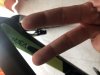 82F18E52-4923-4F1D-8488-E4032DE39769.jpeg
