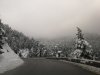 IMG_20191221_152602.jpg