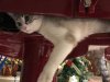 SAVE_20191218_134314.jpg