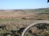DSC00773.JPG