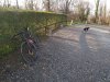 IMG_20200101_145343924.jpg