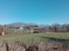 IMG_20200112_113248.jpg