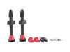 barbieri-valve-set-2-pieces-tubeless-carbonaria-universal-version-20-45-mm.jpg