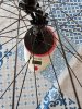 20190509_174138.jpg