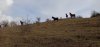 IMG_20200126_110218.jpg