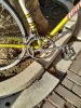 IMG-20200202-WA0000.jpg