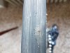 20190624_065542 Vitttoria Corsa 2.0 Diffetto .jpg