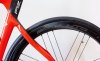 Pinarello Dogma F12 disk-019.jpg