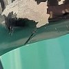 IMG_20200225_165817.jpg