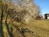 primavera.jpg