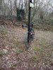 IMG_20200229_134644_1.jpg