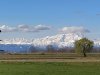 IMG_20200303_132827.jpg
