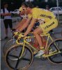 cipollini-enjaune.jpg