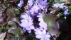20200308_114753.jpg