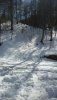 20200308_133510.jpg