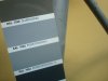 DSC08118.JPG