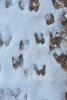 DSC_2247.jpg