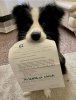 10982ea6-b8ec-4386-83fa-f911a4eda833.jpg
