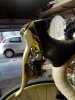 IMG_20200310_175217.jpg