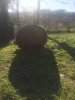 92BD5058-804C-462E-8FCB-50C866093948.jpeg
