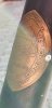 IMG-20200329-WA0001.jpg