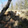 IMG_20200401_175700.jpg