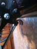neve e rulli 011.jpg