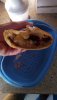 IMG-20200409-WA0015.jpeg
