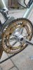 IMG-20200413-WA0011.jpg