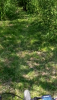 Screenshot_20200413-115649~2.png