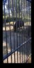 Screenshot_20200418-181702.jpg
