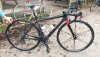 Cervelo Rca.jpeg